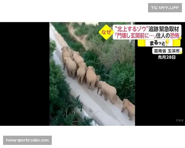 古尔丁周日复出迎战太攀蛇 伊利伤情未愈继续缺阵引关注